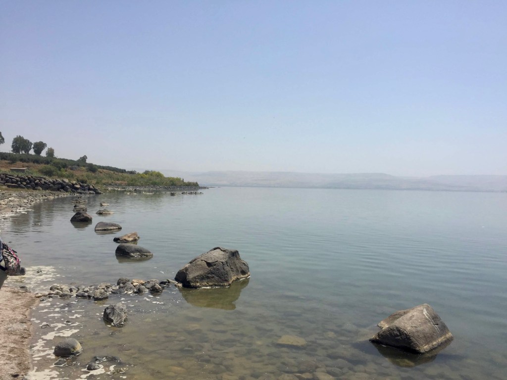 Simon Peter Series: Part&nbsp;Five