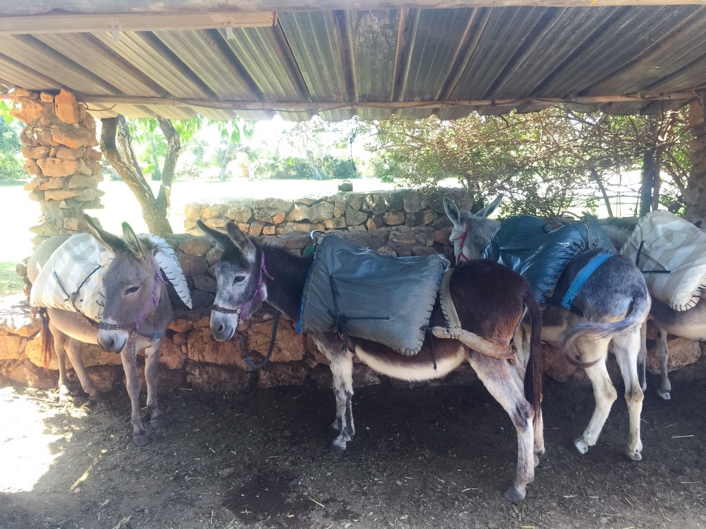 Traveling Through Israel: A Photo Journey&nbsp;🇮🇱