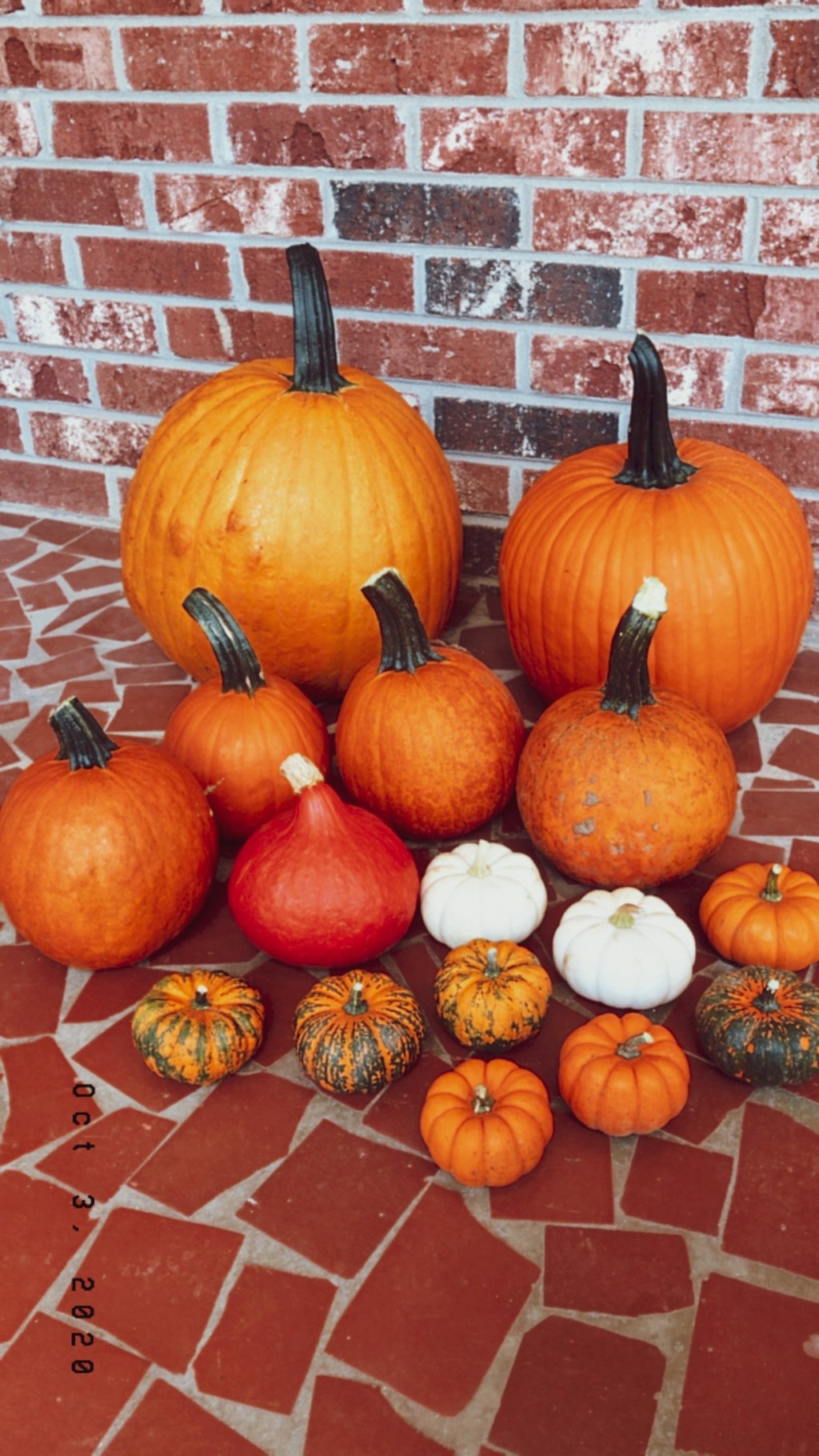 2020 Fall Fun List&nbsp;🍁