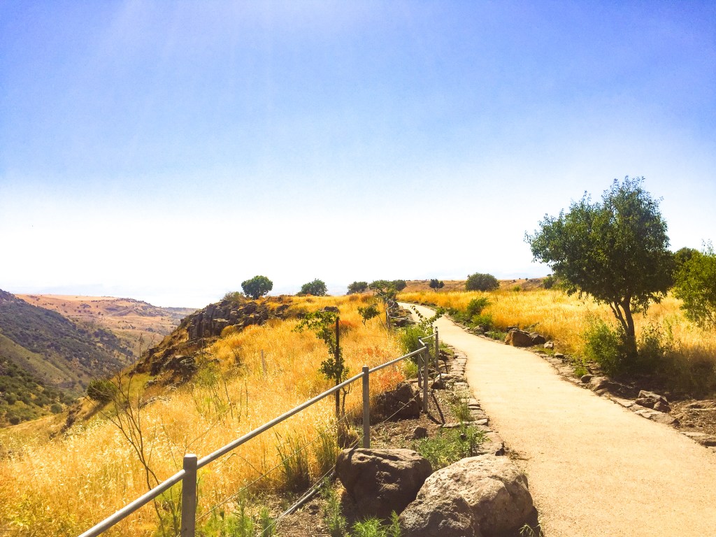 Take A Step&nbsp;Back