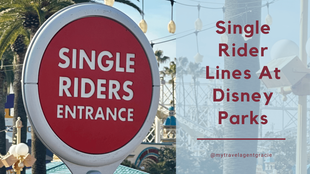 Single Rider Lines At Disney Parks 